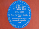 Chain, Ernst (id=4219)